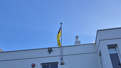 image of Ukrainian flag